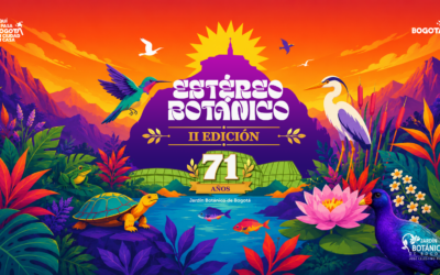 Estereo botanico 2026