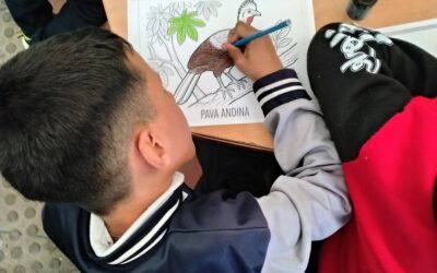 Tejiendo territorios: Descubriendo la fauna de nuestro territorio: una mirada a la biodiversidad en San Luis