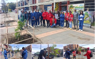 Historias del verde urbano: ¡Unidos por el arbolado del colegio Gabriel Betancourt Mejía!