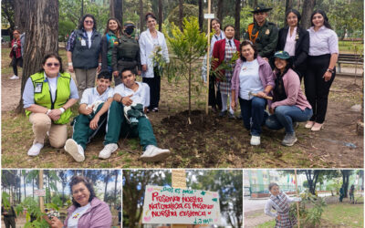 Historias del verde urbano: Los padrinos del nuevo arbolado del bosque de San Carlos