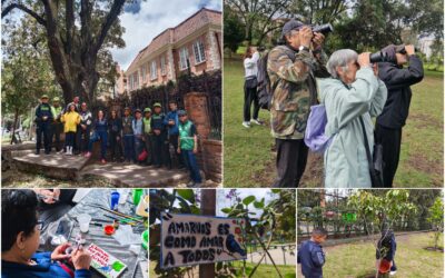 Historias del verde urbano: ¡Acciones sociales para que Bogotá conserve su verde!