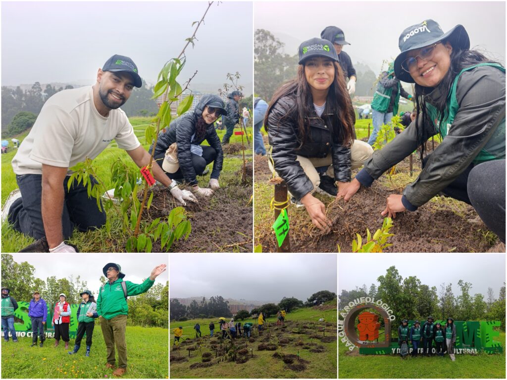 Historias del verde urbano: Jornada de restauración ecológica en la única área arqueológica protegida de Bogotá