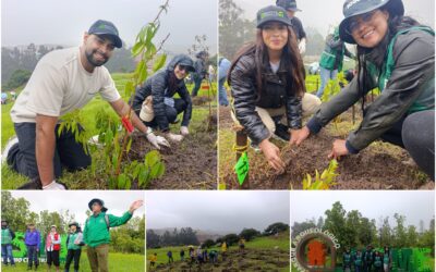Historias del verde urbano: Jornada de restauración ecológica en la única área arqueológica protegida de Bogotá