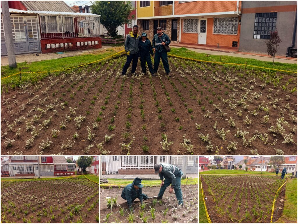 Historias del verde urbano: ¡El corazón jardinero del Quirigua vuelve a latir!