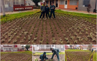 Historias del verde urbano: ¡El corazón jardinero del Quirigua vuelve a latir!