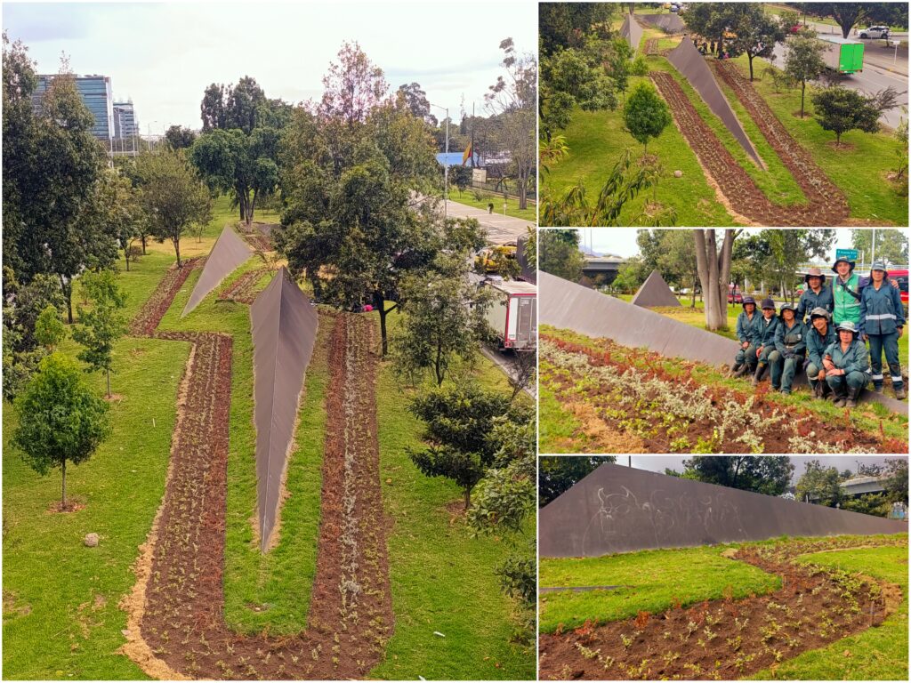 Historias del verde urbano: ¡El nuevo río floral que fluye por la calle 26!