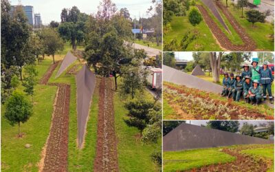 Historias del verde urbano: ¡El nuevo río floral que fluye por la calle 26!