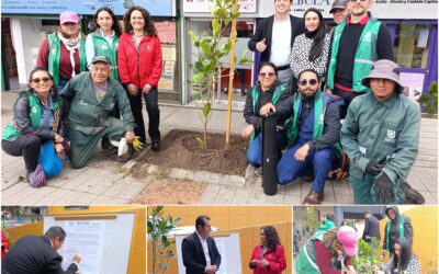 Historias del verde urbano: El primer centro comercial de estilo abierto en Bogotá ayudará a fortalecer las coberturas vegetales