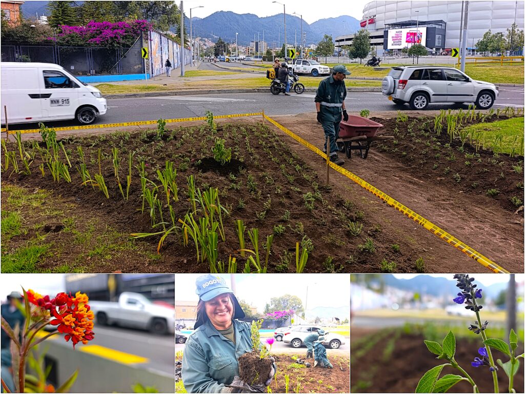 Historias del verde urbano: ¡Reviven las jardineras de la oreja de la calle 63 con carrera 30!