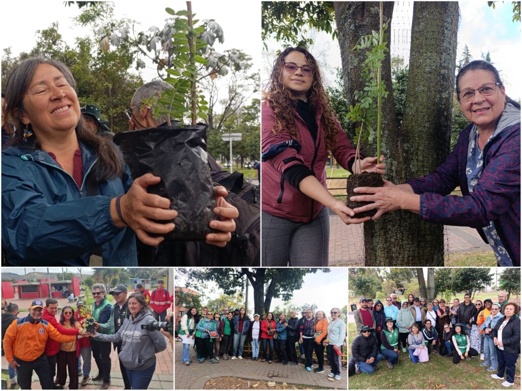 Historias del verde urbano: ¡La Mutisia llegó a tres bosques urbanos de Bogotá!