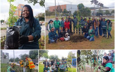 Historias del verde urbano: ¡La fiesta verde que celebró los 71 años del Jardín Botánico de Bogotá!
