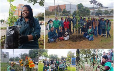 Historias del verde urbano: ¡La fiesta verde que celebró los 71 años del Jardín Botánico de Bogotá!