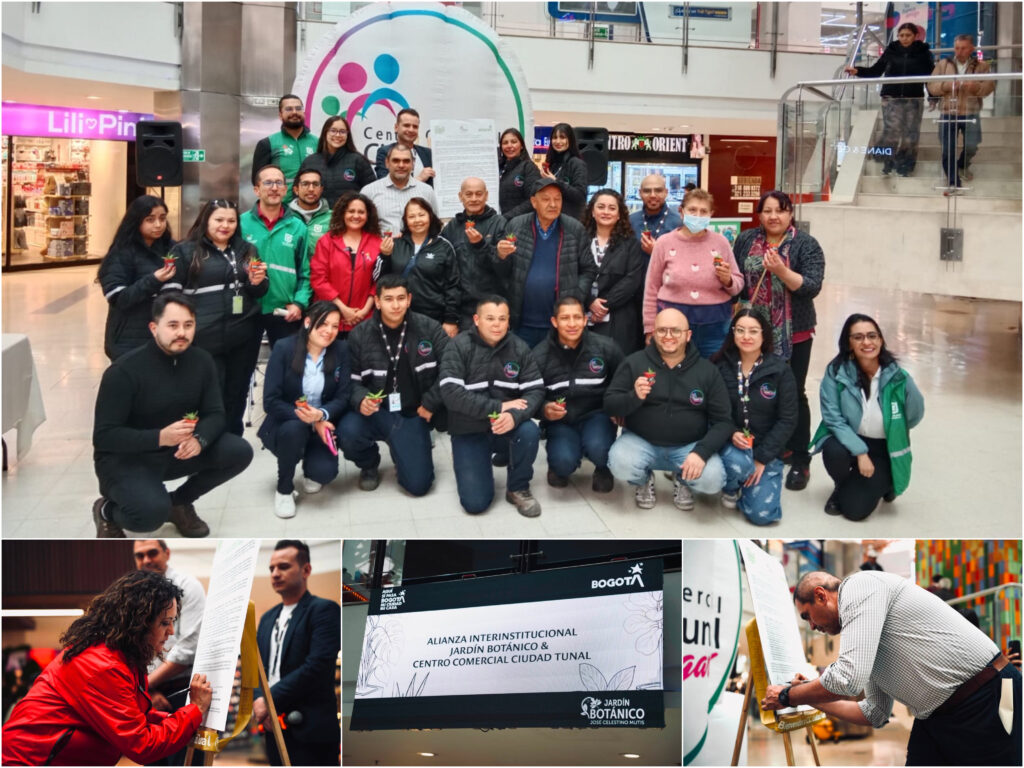 Historias del verde urbano: Ciudad Tunal se sube al bus del cuidado de las coberturas vegetales