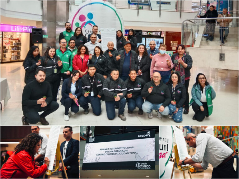 Historias del verde urbano: Ciudad Tunal se sube al bus del cuidado de las coberturas vegetales