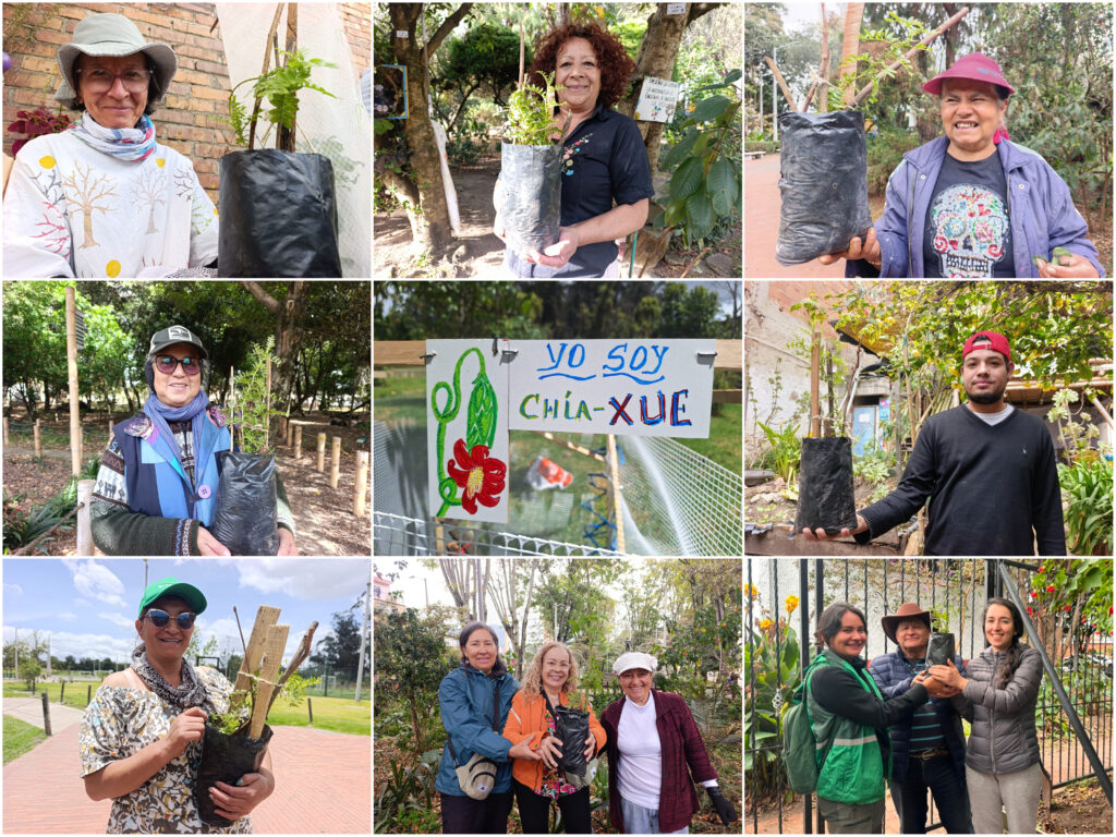 Historias del verde urbano: ¡Así fue la toma de la Mutisia en los bosques urbanos de Bogotá!