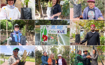 Historias del verde urbano: ¡Así fue la toma de la Mutisia en los bosques urbanos de Bogotá!