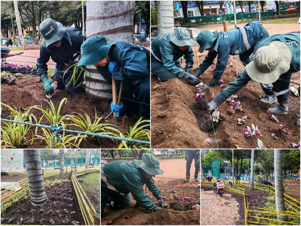 Historias del verde urbano: Las jardineras del parque El Nogal vuelven a florecer