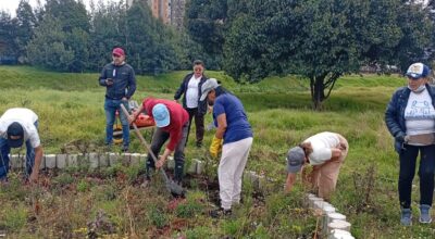 Más que un proceso de formación, esta estrategia, desarrollada junto al Jardín Botánico en el marco de Tejiendo el Territorio, busca fortalecer las capacidades de quienes habitan la ribera para comprender el espacio que ocupan, reconocer su papel como actores de la cuenca y afrontar los retos de la crisis climática. Entender qué es una cuenca hidrográfica, cómo el cambio climático transforma las dinámicas locales y cómo las pequeñas acciones —como la creación de jardines para polinizadores— contribuyen a la restauración ecológica se convierte en una herramienta clave para apropiarse del territorio y asumir un rol activo en su cuidado. El proceso se encuentra en una etapa de diagnóstico, durante la cual, mediante un mapeo comunitario (cartografía social), la comunidad plasmó, a partir de su propia experiencia, las realidades socioambientales del sector. Más allá de identificar problemáticas, este espacio permitió comprender cómo estas afectan la calidad de vida en la cuenca baja del río Fucha y evidenciar los desafíos y las oportunidades para su recuperación. Entre los principales hallazgos, la comunidad reconoció un déficit de espacios verdes, con solo un parque y la ronda del río como los únicos escenarios de contacto con la naturaleza. Asimismo, se identificaron presiones ambientales significativas: • Presencia de un centro de beneficio animal (frigorífico) y de comercialización cárnica que generan olores ofensivos y afectan la calidad del aire. • Zonas de almacenamiento de materiales reciclables y de asentamientos temporales. • Problemáticas asociadas a quemas ilegales y vertimientos en el cauce del río Fucha. • Percepción del incremento de las olas de calor, asociadas a la escasez de cobertura vegetal y de espacios públicos arborizados. El diagnóstico también permitió evidenciar la escasa participación comunitaria en los escenarios de toma de decisiones. No obstante, esta realidad comienza a transformarse gracias al liderazgo de las JAC de los tres barrios, que consolidan procesos participativos orientados a la recuperación ambiental y a la construcción de un territorio resiliente. De la ronda del río a los jardines de polinizadores Lejos de ser solo un inventario de problemáticas, el diagnóstico reconoció el enorme potencial ecológico de la ribera. La ronda del río Fucha representa una oportunidad para impulsar procesos de restauración, reverdecer el espacio público y consolidar corredores de biodiversidad urbana. Luego, se realizó un recorrido por la ronda del río para reconocer de primera mano las especies vegetales presentes. Se identificó la predominancia de pasto kikuyo y acacias en algunos tramos, así como de plantas como la malva, el tabaco y diversas especies florales que aún persisten. Cada observación confirmó que, a pesar de las presiones, existen elementos naturales capaces de sostener la recuperación de este espacio con potencial ambiental. Este ejercicio despertó una nueva mirada sobre la ribera: lo que antes era solo un lugar de paso se proyecta ahora como un escenario idóneo para el establecimiento de jardines para polinizadores. Estos refugios funcionarán como pequeñas islas de biodiversidad que ofrecerán alimento y hábitat a mariposas, abejas, abejorros y colibríes, fortaleciendo la conectividad ecológica en la cuenca. Un ecosistema vivo que conecta vidas Comprender el territorio es el primer paso para transformarlo. Cada mapa construido colectivamente, cada conversación sobre el cambio climático y cada propuesta para sembrar flora nativa fortalecen el tejido social y ambiental de estos barrios ribereños. Hoy la comunidad entiende que el río Fucha no es únicamente un cuerpo de agua que atraviesa la ciudad, sino un ecosistema vivo que conecta personas, biodiversidad e historias. Recuperarlo significa sanar la relación de los habitantes con su entorno y construir soluciones colectivas ante la crisis ambiental. El río Fucha sigue vivo. En sus orillas aún encuentran refugio aves, insectos y plantas que resisten el avance urbano. Y ahora, gracias al compromiso de las comunidades de Villa Liliana, Andalucía y El Vergel, junto con el Jardín Botánico, el río encuentra aliados dispuestos a recuperar su memoria ecológica y a demostrar que cuidar una cuenca es cuidar el hogar que compartimos. Más que un proceso de formación, esta estrategia, desarrollada junto al Jardín Botánico en el marco de Tejiendo el Territorio, busca fortalecer las capacidades de quienes habitan la ribera para comprender el espacio que ocupan, reconocer su papel como actores de la cuenca y afrontar los retos de la crisis climática. Entender qué es una cuenca hidrográfica, cómo el cambio climático transforma las dinámicas locales y cómo las pequeñas acciones —como la creación de jardines para polinizadores— contribuyen a la restauración ecológica se convierte en una herramienta clave para apropiarse del territorio y asumir un rol activo en su cuidado. El proceso se encuentra en una etapa de diagnóstico, durante la cual, mediante un mapeo comunitario (cartografía social), la comunidad plasmó, a partir de su propia experiencia, las realidades socioambientales del sector. Más allá de identificar problemáticas, este espacio permitió comprender cómo estas afectan la calidad de vida en la cuenca baja del río Fucha y evidenciar los desafíos y las oportunidades para su recuperación. Entre los principales hallazgos, la comunidad reconoció un déficit de espacios verdes, con solo un parque y la ronda del río como los únicos escenarios de contacto con la naturaleza. Asimismo, se identificaron presiones ambientales significativas: • Presencia de un centro de beneficio animal (frigorífico) y de comercialización cárnica que generan olores ofensivos y afectan la calidad del aire. • Zonas de almacenamiento de materiales reciclables y de asentamientos temporales. • Problemáticas asociadas a quemas ilegales y vertimientos en el cauce del río Fucha. • Percepción del incremento de las olas de calor, asociadas a la escasez de cobertura vegetal y de espacios públicos arborizados. El diagnóstico también permitió evidenciar la escasa participación comunitaria en los escenarios de toma de decisiones. No obstante, esta realidad comienza a transformarse gracias al liderazgo de las JAC de los tres barrios, que consolidan procesos participativos orientados a la recuperación ambiental y a la construcción de un territorio resiliente. De la ronda del río a los jardines de polinizadores Lejos de ser solo un inventario de problemáticas, el diagnóstico reconoció el enorme potencial ecológico de la ribera. La ronda del río Fucha representa una oportunidad para impulsar procesos de restauración, reverdecer el espacio público y consolidar corredores de biodiversidad urbana. Luego, se realizó un recorrido por la ronda del río para reconocer de primera mano las especies vegetales presentes. Se identificó la predominancia de pasto kikuyo y acacias en algunos tramos, así como de plantas como la malva, el tabaco y diversas especies florales que aún persisten. Cada observación confirmó que, a pesar de las presiones, existen elementos naturales capaces de sostener la recuperación de este espacio con potencial ambiental. Este ejercicio despertó una nueva mirada sobre la ribera: lo que antes era solo un lugar de paso se proyecta ahora como un escenario idóneo para el establecimiento de jardines para polinizadores. Estos refugios funcionarán como pequeñas islas de biodiversidad que ofrecerán alimento y hábitat a mariposas, abejas, abejorros y colibríes, fortaleciendo la conectividad ecológica en la cuenca. Un ecosistema vivo que conecta vidas Comprender el territorio es el primer paso para transformarlo. Cada mapa construido colectivamente, cada conversación sobre el cambio climático y cada propuesta para sembrar flora nativa fortalecen el tejido social y ambiental de estos barrios ribereños. Hoy la comunidad entiende que el río Fucha no es únicamente un cuerpo de agua que atraviesa la ciudad, sino un ecosistema vivo que conecta personas, biodiversidad e historias. Recuperarlo significa sanar la relación de los habitantes con su entorno y construir soluciones colectivas ante la crisis ambiental. El río Fucha sigue vivo. En sus orillas aún encuentran refugio aves, insectos y plantas que resisten el avance urbano. Y ahora, gracias al compromiso de las comunidades de Villa Liliana, Andalucía y El Vergel, junto con el Jardín Botánico, el río encuentra aliados dispuestos a recuperar su memoria ecológica y a demostrar que cuidar una cuenca es cuidar el hogar que compartimos.