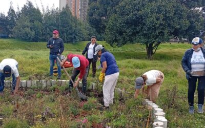Más que un proceso de formación, esta estrategia, desarrollada junto al Jardín Botánico en el marco de Tejiendo el Territorio, busca fortalecer las capacidades de quienes habitan la ribera para comprender el espacio que ocupan, reconocer su papel como actores de la cuenca y afrontar los retos de la crisis climática. Entender qué es una cuenca hidrográfica, cómo el cambio climático transforma las dinámicas locales y cómo las pequeñas acciones —como la creación de jardines para polinizadores— contribuyen a la restauración ecológica se convierte en una herramienta clave para apropiarse del territorio y asumir un rol activo en su cuidado. El proceso se encuentra en una etapa de diagnóstico, durante la cual, mediante un mapeo comunitario (cartografía social), la comunidad plasmó, a partir de su propia experiencia, las realidades socioambientales del sector. Más allá de identificar problemáticas, este espacio permitió comprender cómo estas afectan la calidad de vida en la cuenca baja del río Fucha y evidenciar los desafíos y las oportunidades para su recuperación. Entre los principales hallazgos, la comunidad reconoció un déficit de espacios verdes, con solo un parque y la ronda del río como los únicos escenarios de contacto con la naturaleza. Asimismo, se identificaron presiones ambientales significativas: • Presencia de un centro de beneficio animal (frigorífico) y de comercialización cárnica que generan olores ofensivos y afectan la calidad del aire. • Zonas de almacenamiento de materiales reciclables y de asentamientos temporales. • Problemáticas asociadas a quemas ilegales y vertimientos en el cauce del río Fucha. • Percepción del incremento de las olas de calor, asociadas a la escasez de cobertura vegetal y de espacios públicos arborizados. El diagnóstico también permitió evidenciar la escasa participación comunitaria en los escenarios de toma de decisiones. No obstante, esta realidad comienza a transformarse gracias al liderazgo de las JAC de los tres barrios, que consolidan procesos participativos orientados a la recuperación ambiental y a la construcción de un territorio resiliente. De la ronda del río a los jardines de polinizadores Lejos de ser solo un inventario de problemáticas, el diagnóstico reconoció el enorme potencial ecológico de la ribera. La ronda del río Fucha representa una oportunidad para impulsar procesos de restauración, reverdecer el espacio público y consolidar corredores de biodiversidad urbana. Luego, se realizó un recorrido por la ronda del río para reconocer de primera mano las especies vegetales presentes. Se identificó la predominancia de pasto kikuyo y acacias en algunos tramos, así como de plantas como la malva, el tabaco y diversas especies florales que aún persisten. Cada observación confirmó que, a pesar de las presiones, existen elementos naturales capaces de sostener la recuperación de este espacio con potencial ambiental. Este ejercicio despertó una nueva mirada sobre la ribera: lo que antes era solo un lugar de paso se proyecta ahora como un escenario idóneo para el establecimiento de jardines para polinizadores. Estos refugios funcionarán como pequeñas islas de biodiversidad que ofrecerán alimento y hábitat a mariposas, abejas, abejorros y colibríes, fortaleciendo la conectividad ecológica en la cuenca. Un ecosistema vivo que conecta vidas Comprender el territorio es el primer paso para transformarlo. Cada mapa construido colectivamente, cada conversación sobre el cambio climático y cada propuesta para sembrar flora nativa fortalecen el tejido social y ambiental de estos barrios ribereños. Hoy la comunidad entiende que el río Fucha no es únicamente un cuerpo de agua que atraviesa la ciudad, sino un ecosistema vivo que conecta personas, biodiversidad e historias. Recuperarlo significa sanar la relación de los habitantes con su entorno y construir soluciones colectivas ante la crisis ambiental. El río Fucha sigue vivo. En sus orillas aún encuentran refugio aves, insectos y plantas que resisten el avance urbano. Y ahora, gracias al compromiso de las comunidades de Villa Liliana, Andalucía y El Vergel, junto con el Jardín Botánico, el río encuentra aliados dispuestos a recuperar su memoria ecológica y a demostrar que cuidar una cuenca es cuidar el hogar que compartimos.