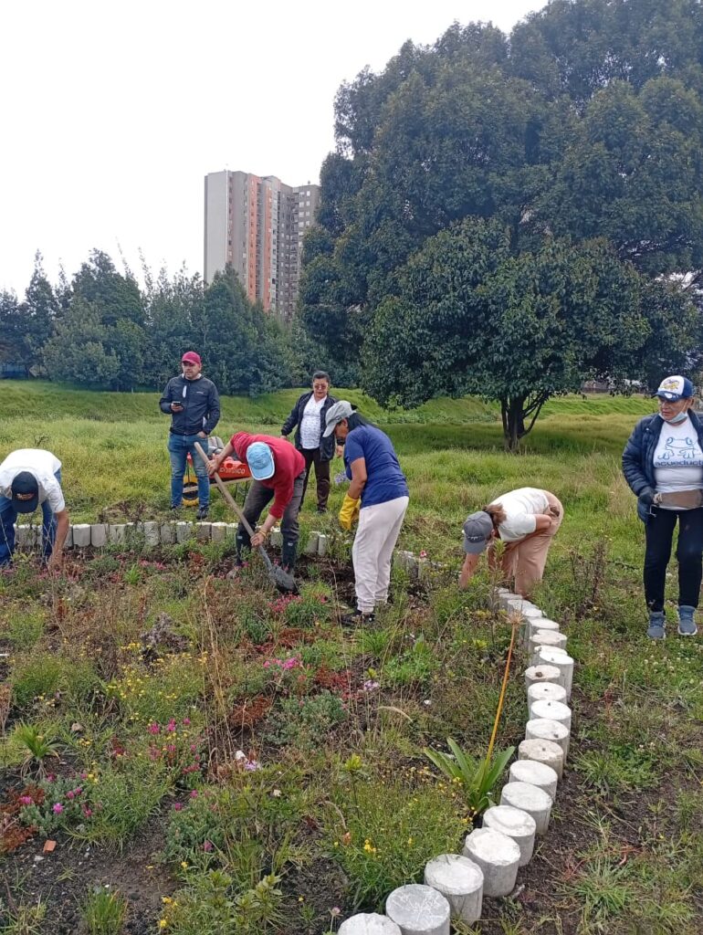Más que un proceso de formación, esta estrategia, desarrollada junto al Jardín Botánico en el marco de Tejiendo el Territorio, busca fortalecer las capacidades de quienes habitan la ribera para comprender el espacio que ocupan, reconocer su papel como actores de la cuenca y afrontar los retos de la crisis climática. Entender qué es una cuenca hidrográfica, cómo el cambio climático transforma las dinámicas locales y cómo las pequeñas acciones —como la creación de jardines para polinizadores— contribuyen a la restauración ecológica se convierte en una herramienta clave para apropiarse del territorio y asumir un rol activo en su cuidado. El proceso se encuentra en una etapa de diagnóstico, durante la cual, mediante un mapeo comunitario (cartografía social), la comunidad plasmó, a partir de su propia experiencia, las realidades socioambientales del sector. Más allá de identificar problemáticas, este espacio permitió comprender cómo estas afectan la calidad de vida en la cuenca baja del río Fucha y evidenciar los desafíos y las oportunidades para su recuperación. Entre los principales hallazgos, la comunidad reconoció un déficit de espacios verdes, con solo un parque y la ronda del río como los únicos escenarios de contacto con la naturaleza. Asimismo, se identificaron presiones ambientales significativas: • Presencia de un centro de beneficio animal (frigorífico) y de comercialización cárnica que generan olores ofensivos y afectan la calidad del aire. • Zonas de almacenamiento de materiales reciclables y de asentamientos temporales. • Problemáticas asociadas a quemas ilegales y vertimientos en el cauce del río Fucha. • Percepción del incremento de las olas de calor, asociadas a la escasez de cobertura vegetal y de espacios públicos arborizados. El diagnóstico también permitió evidenciar la escasa participación comunitaria en los escenarios de toma de decisiones. No obstante, esta realidad comienza a transformarse gracias al liderazgo de las JAC de los tres barrios, que consolidan procesos participativos orientados a la recuperación ambiental y a la construcción de un territorio resiliente. De la ronda del río a los jardines de polinizadores Lejos de ser solo un inventario de problemáticas, el diagnóstico reconoció el enorme potencial ecológico de la ribera. La ronda del río Fucha representa una oportunidad para impulsar procesos de restauración, reverdecer el espacio público y consolidar corredores de biodiversidad urbana. Luego, se realizó un recorrido por la ronda del río para reconocer de primera mano las especies vegetales presentes. Se identificó la predominancia de pasto kikuyo y acacias en algunos tramos, así como de plantas como la malva, el tabaco y diversas especies florales que aún persisten. Cada observación confirmó que, a pesar de las presiones, existen elementos naturales capaces de sostener la recuperación de este espacio con potencial ambiental. Este ejercicio despertó una nueva mirada sobre la ribera: lo que antes era solo un lugar de paso se proyecta ahora como un escenario idóneo para el establecimiento de jardines para polinizadores. Estos refugios funcionarán como pequeñas islas de biodiversidad que ofrecerán alimento y hábitat a mariposas, abejas, abejorros y colibríes, fortaleciendo la conectividad ecológica en la cuenca. Un ecosistema vivo que conecta vidas Comprender el territorio es el primer paso para transformarlo. Cada mapa construido colectivamente, cada conversación sobre el cambio climático y cada propuesta para sembrar flora nativa fortalecen el tejido social y ambiental de estos barrios ribereños. Hoy la comunidad entiende que el río Fucha no es únicamente un cuerpo de agua que atraviesa la ciudad, sino un ecosistema vivo que conecta personas, biodiversidad e historias. Recuperarlo significa sanar la relación de los habitantes con su entorno y construir soluciones colectivas ante la crisis ambiental. El río Fucha sigue vivo. En sus orillas aún encuentran refugio aves, insectos y plantas que resisten el avance urbano. Y ahora, gracias al compromiso de las comunidades de Villa Liliana, Andalucía y El Vergel, junto con el Jardín Botánico, el río encuentra aliados dispuestos a recuperar su memoria ecológica y a demostrar que cuidar una cuenca es cuidar el hogar que compartimos.