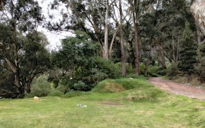 Tejiendo territorios: Un recorrido para reconocer y proteger la quebrada Las Delicias