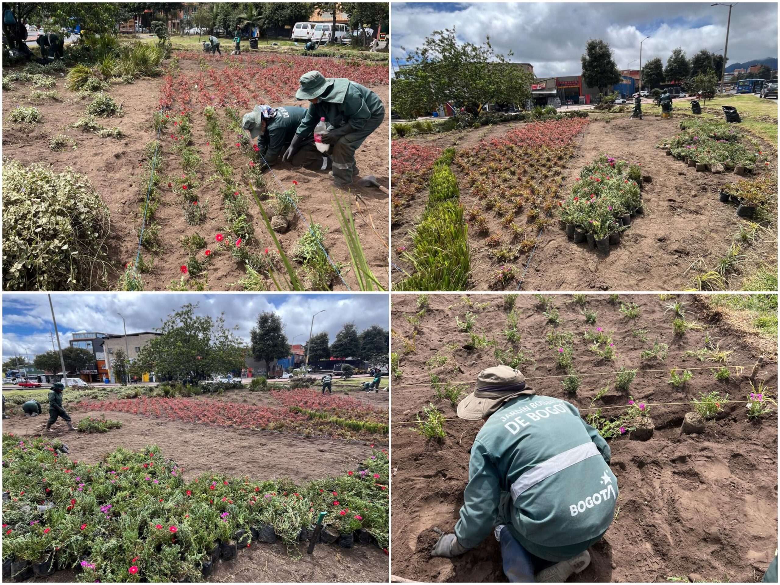 Historias del verde urbano: El nuevo jardín biodiverso del Bravo Páez