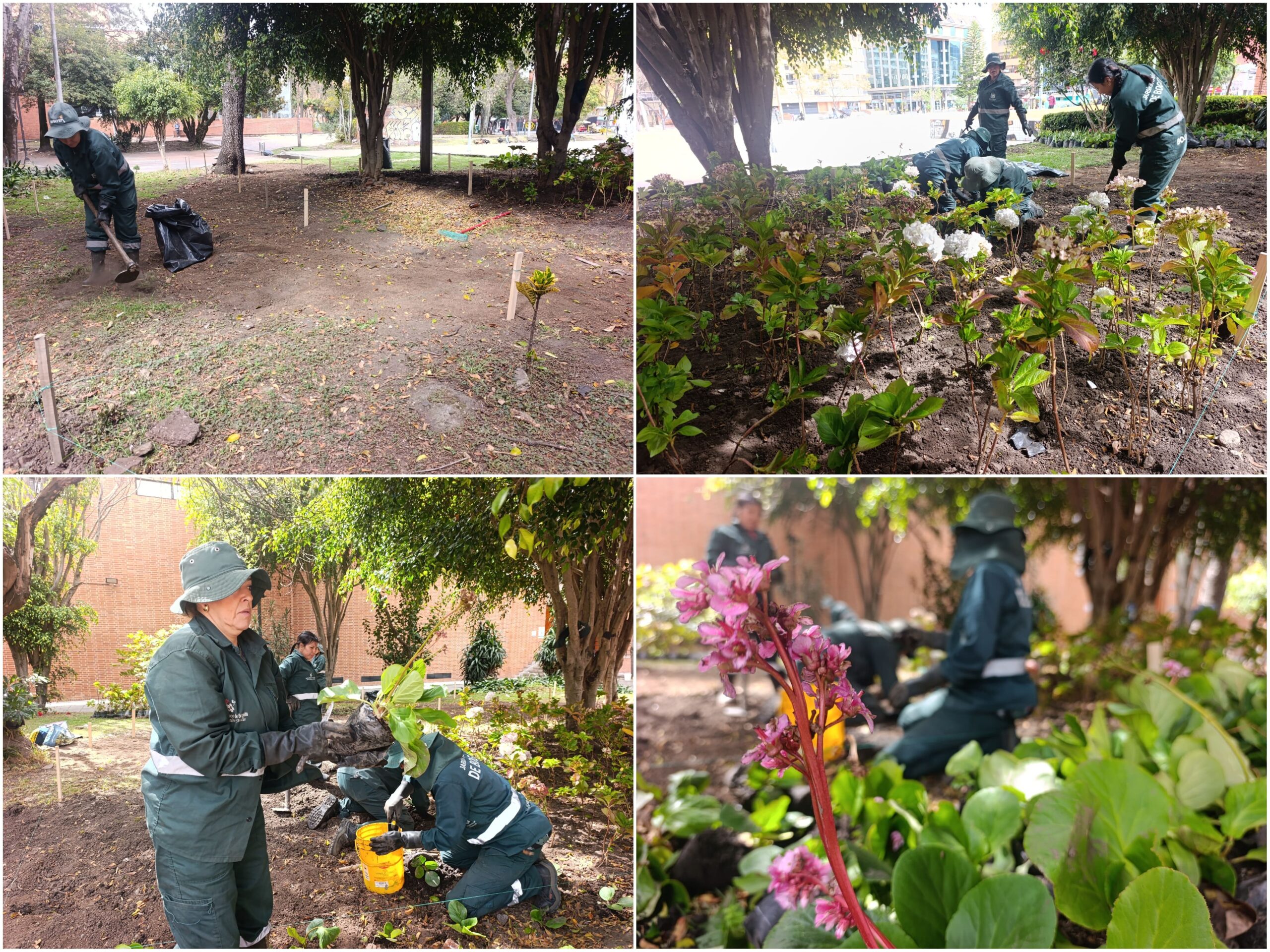 Historias del verde urbano: El cambio extremo de la jardinera de Unilago Historias del verde urbano: El cambio extremo de la jardinera de Unilago