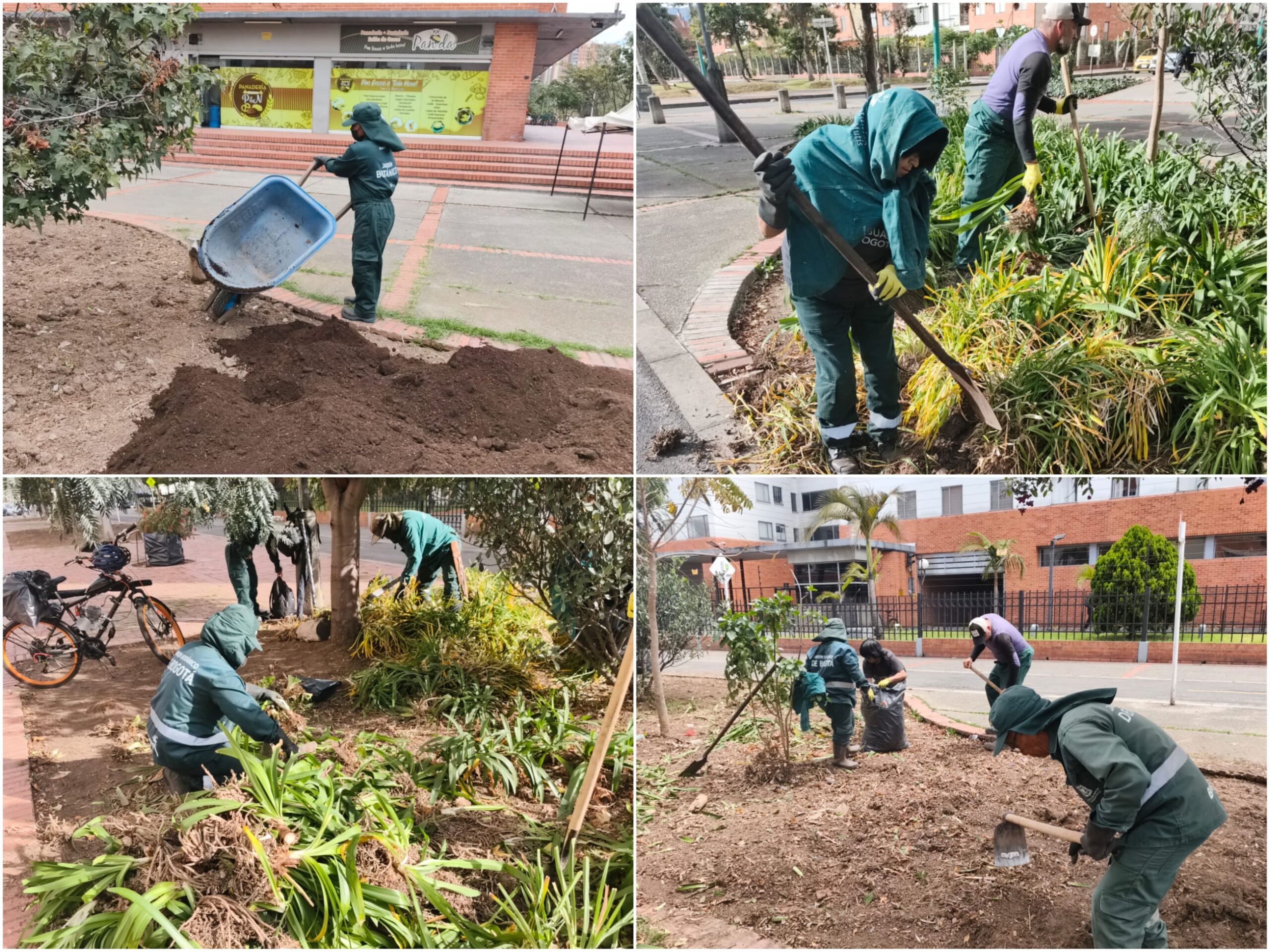 Historias del verde urbano: Los Zapaticos: la jardinera de Salitre Occidental que volvió a la vida Historias del verde urbano: Los Zapaticos: la jardinera de Salitre Occidental que volvió a la vida