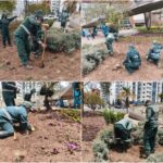 Historias del verde urbano: El nuevo jardín que floreció en los alrededores de Salitre Plaza y Maloka