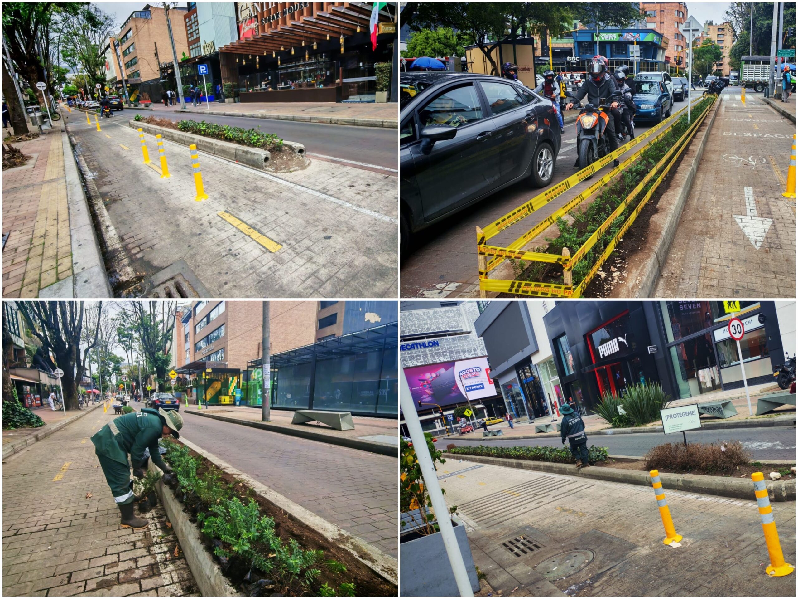 Historias del verde urbano: ¡La transformación jardinera llegó a la Zona Rosa! Historias del verde urbano: ¡La transformación jardinera llegó a la Zona Rosa!