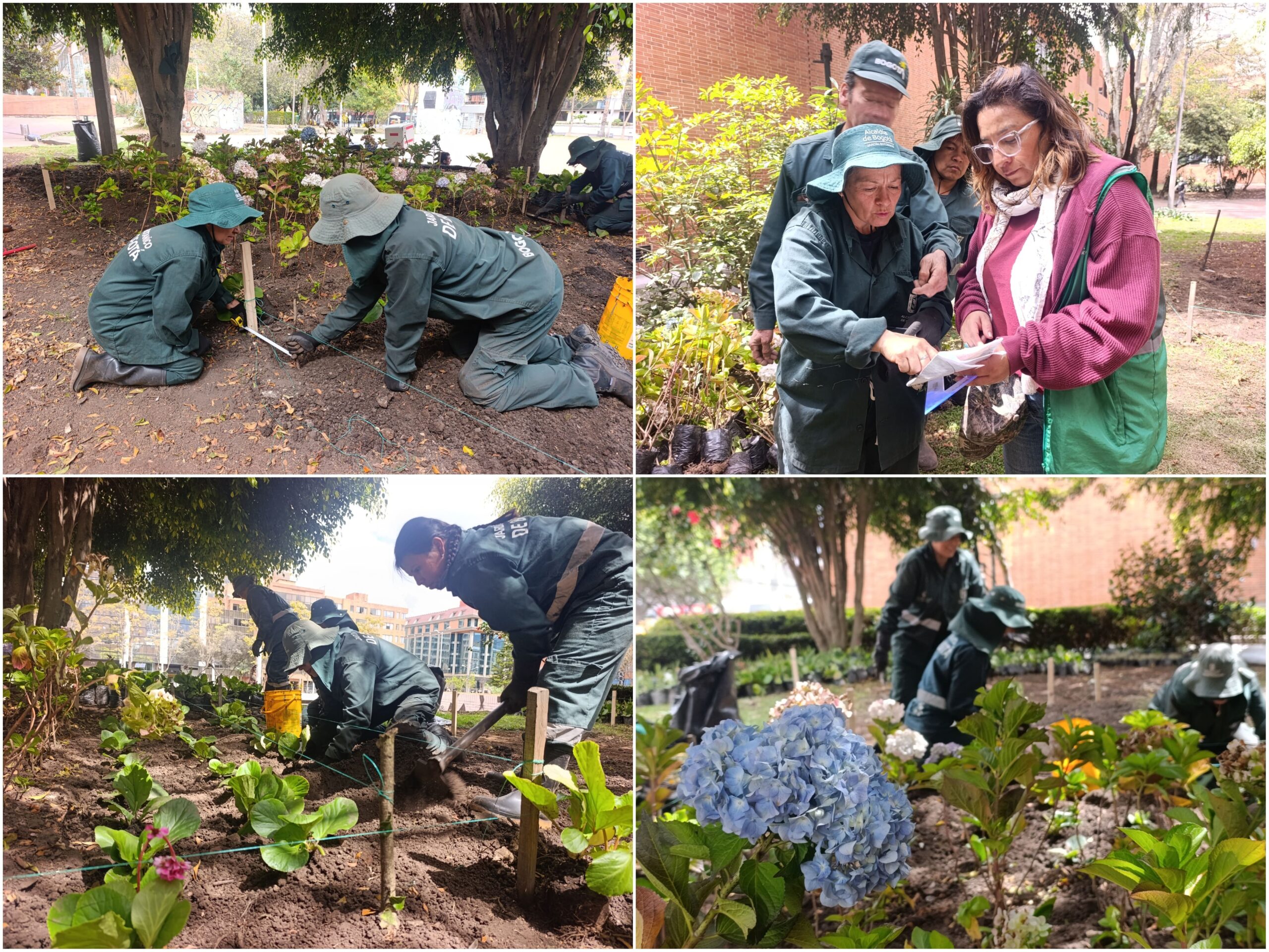 Historias del verde urbano: El cambio extremo de la jardinera de Unilago Historias del verde urbano: El cambio extremo de la jardinera de Unilago