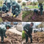 Historias del verde urbano: El nuevo jardín que floreció en los alrededores de Salitre Plaza y Maloka
