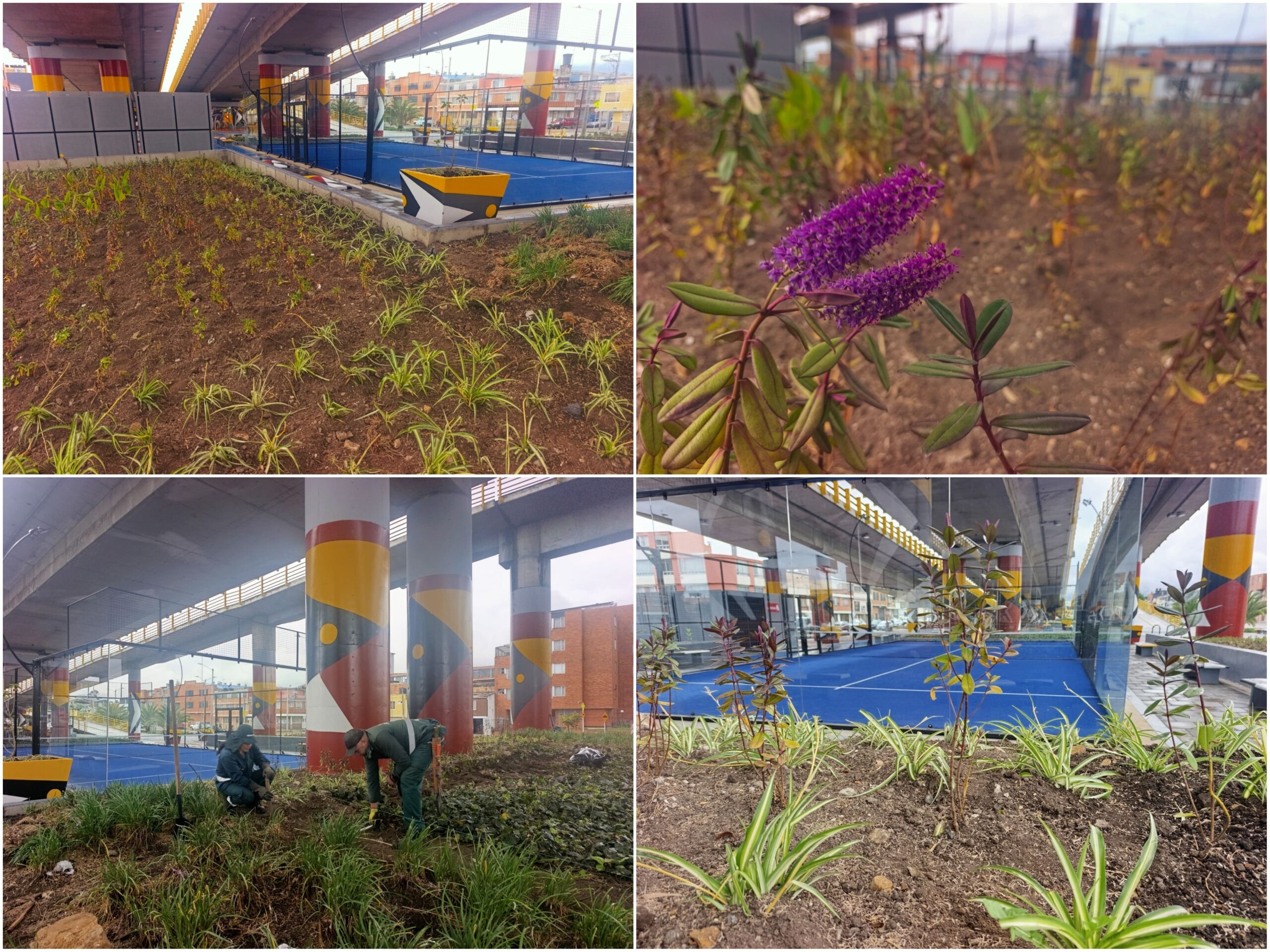 Historias del verde urbano: La primera cancha de pádel en espacio público del país floreció con varias jardineras