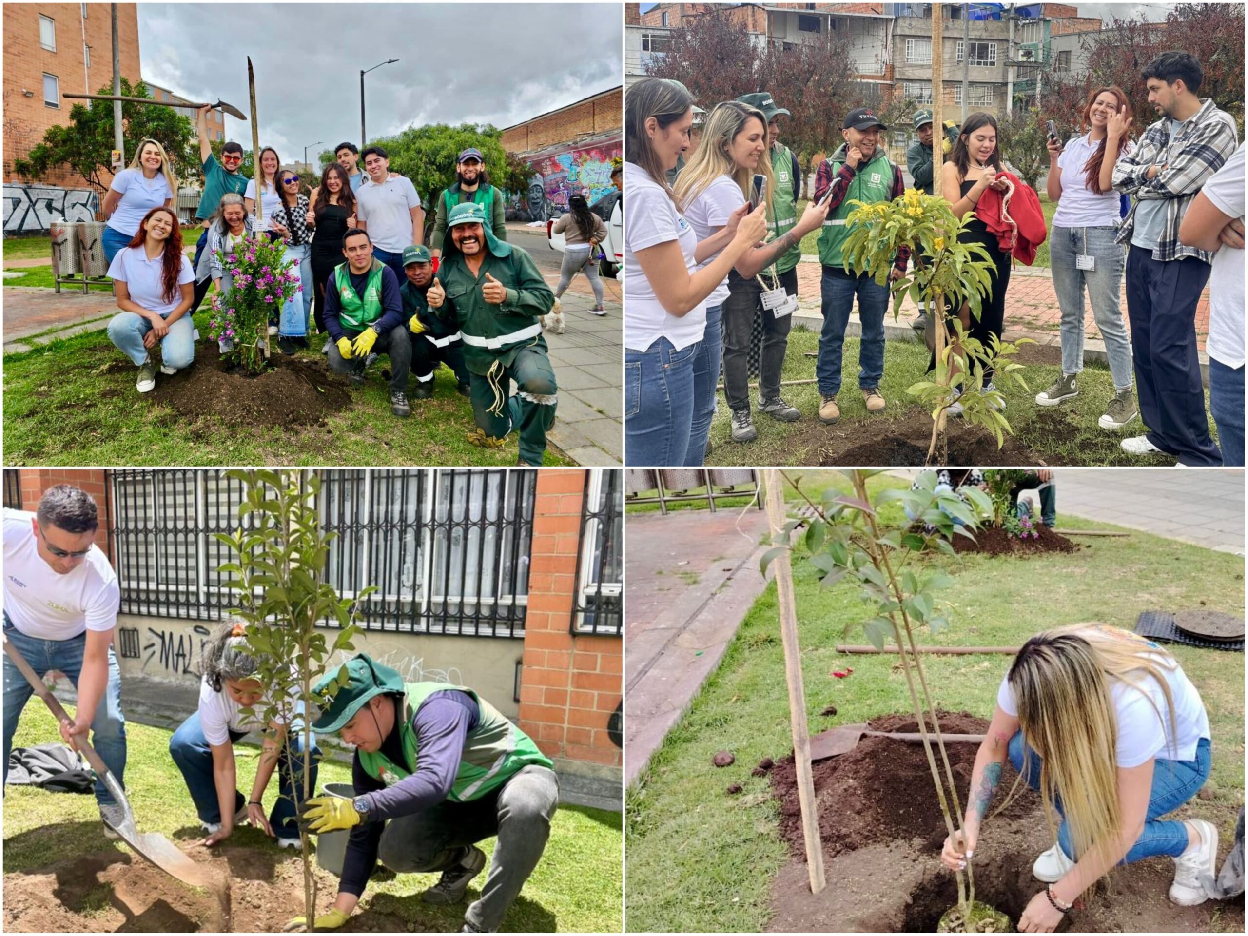 Historias del verde urbano: Bogotá sumó 403 nuevos árboles y arbustos a su cobertura vegetal a finales de agosto