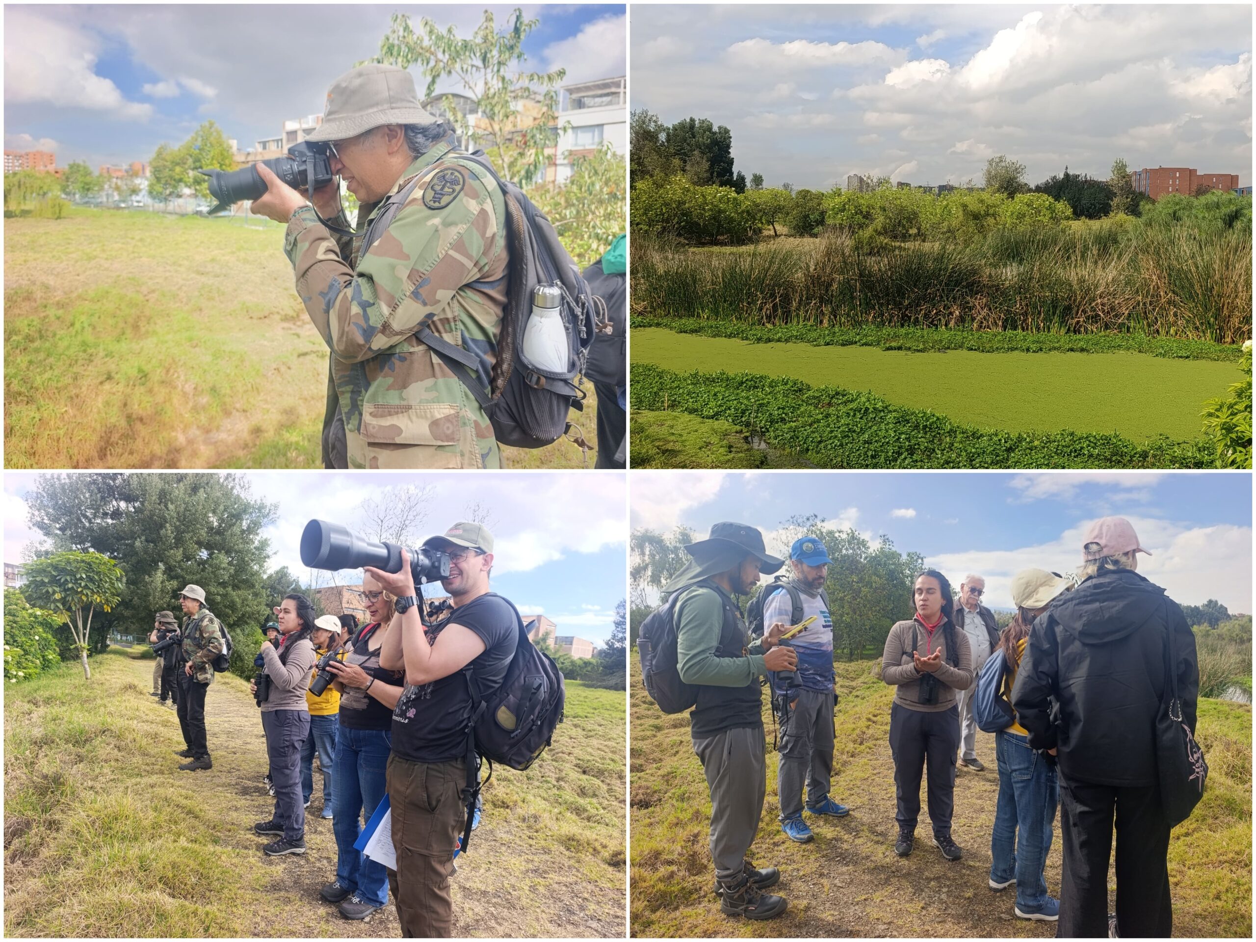 “Entre bosques y humedales”: un recorrido de conexión por una esponja hídrica de Fontibón “Entre bosques y humedales”: un recorrido de conexión por una esponja hídrica de Fontibón