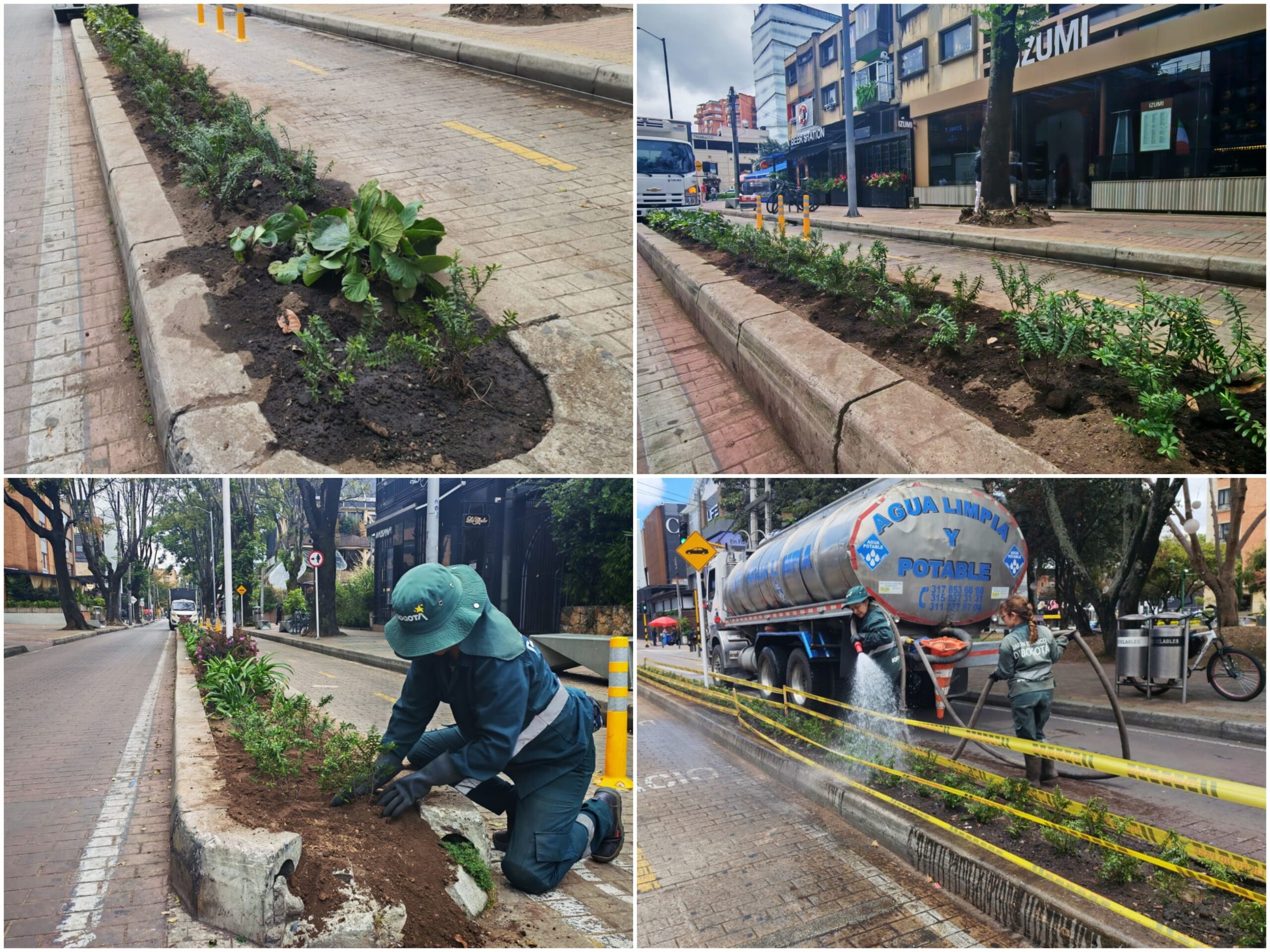 Historias del verde urbano: ¡La transformación jardinera llegó a la Zona Rosa! Historias del verde urbano: ¡La transformación jardinera llegó a la Zona Rosa!