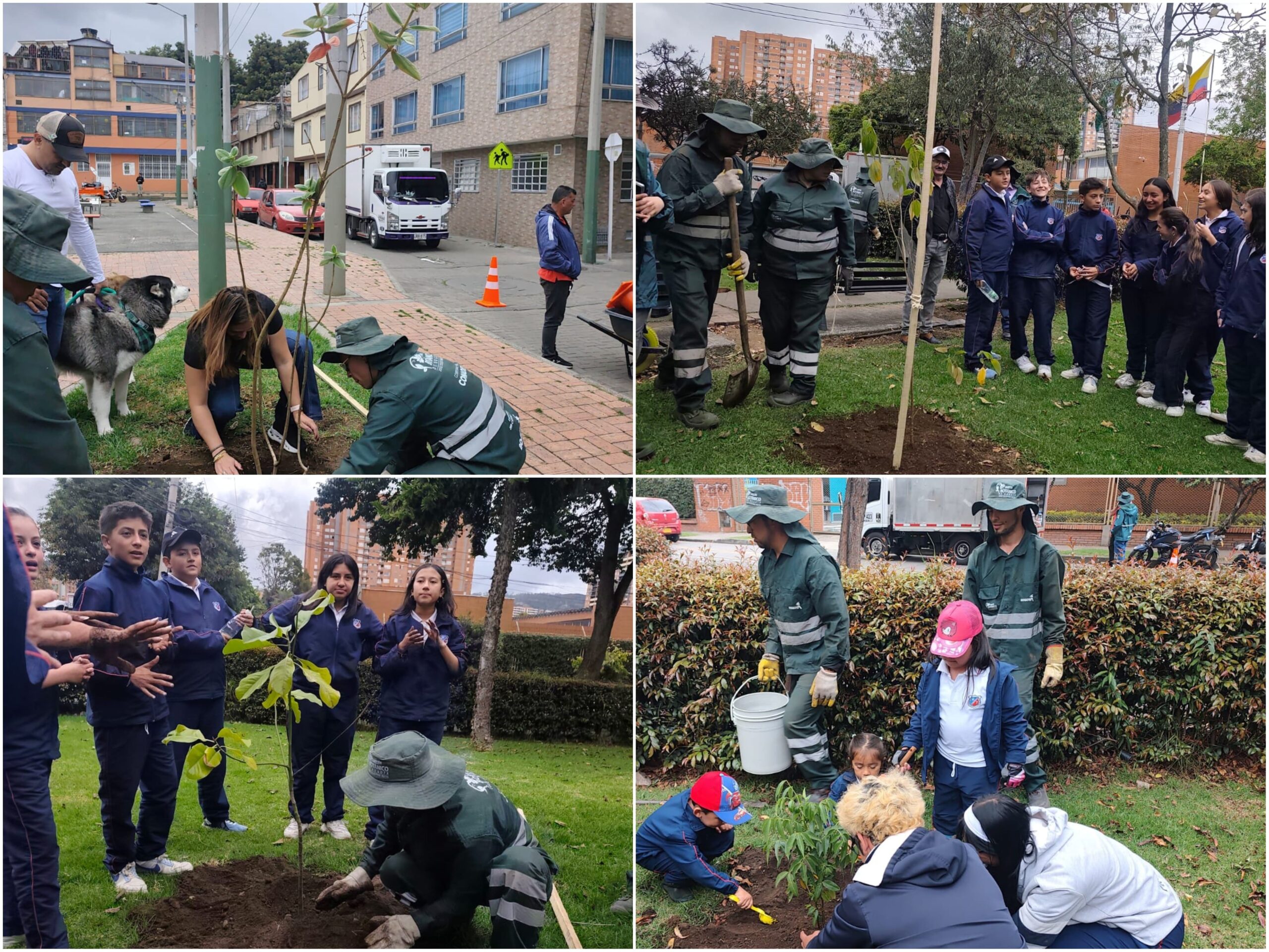 Historias del verde urbano: ¡Usaquén y Chapinero reverdecen con la participación ciudadana! Historias del verde urbano: ¡Usaquén y Chapinero reverdecen con la participación ciudadana!