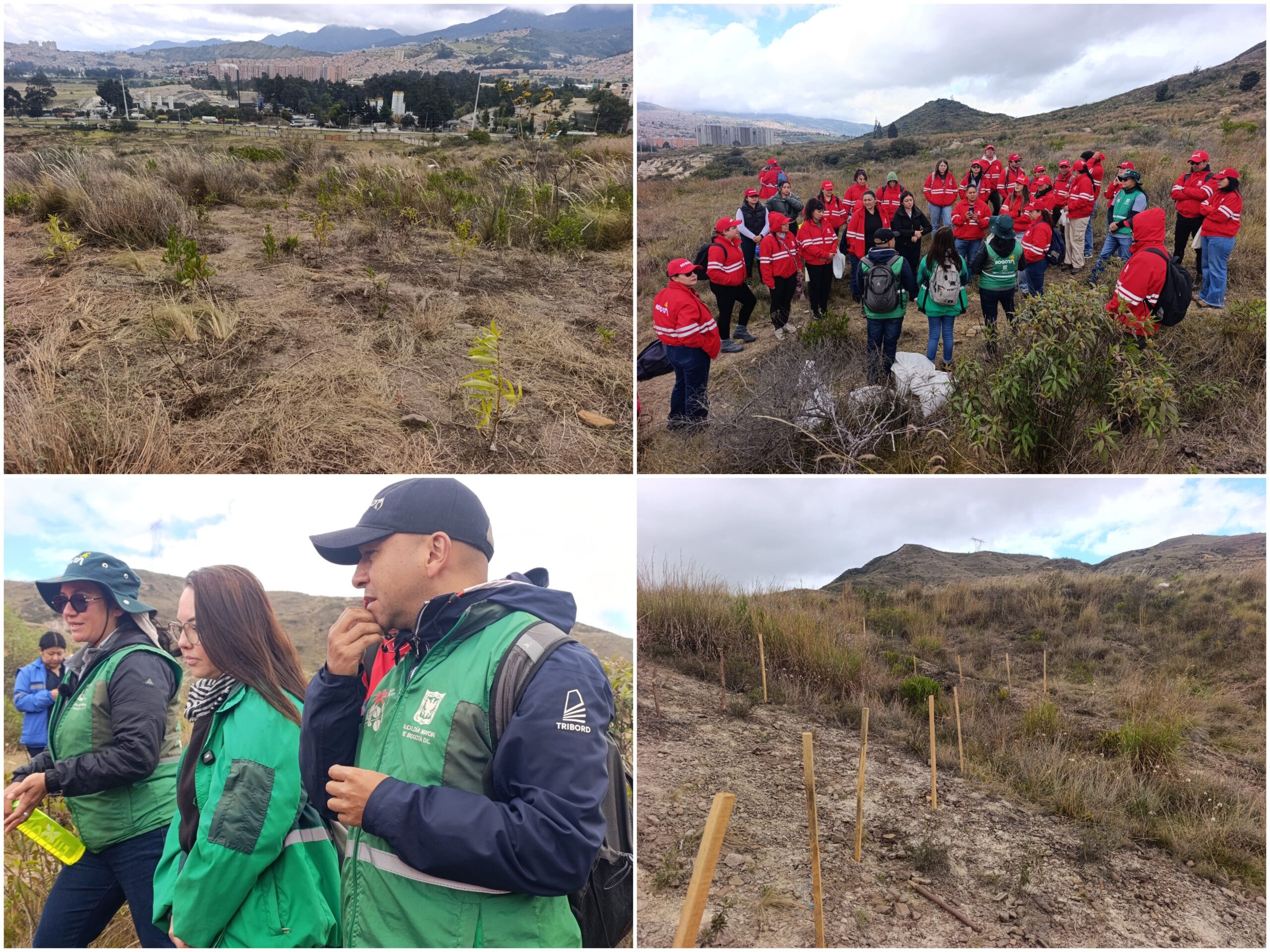 Historias del verde urbano: ¡Novedoso proyecto de restauración ecológica en las montañas de Ciudad Bolívar prendió motores! Historias del verde urbano: ¡Novedoso proyecto de restauración ecológica en las montañas de Ciudad Bolívar prendió motores!