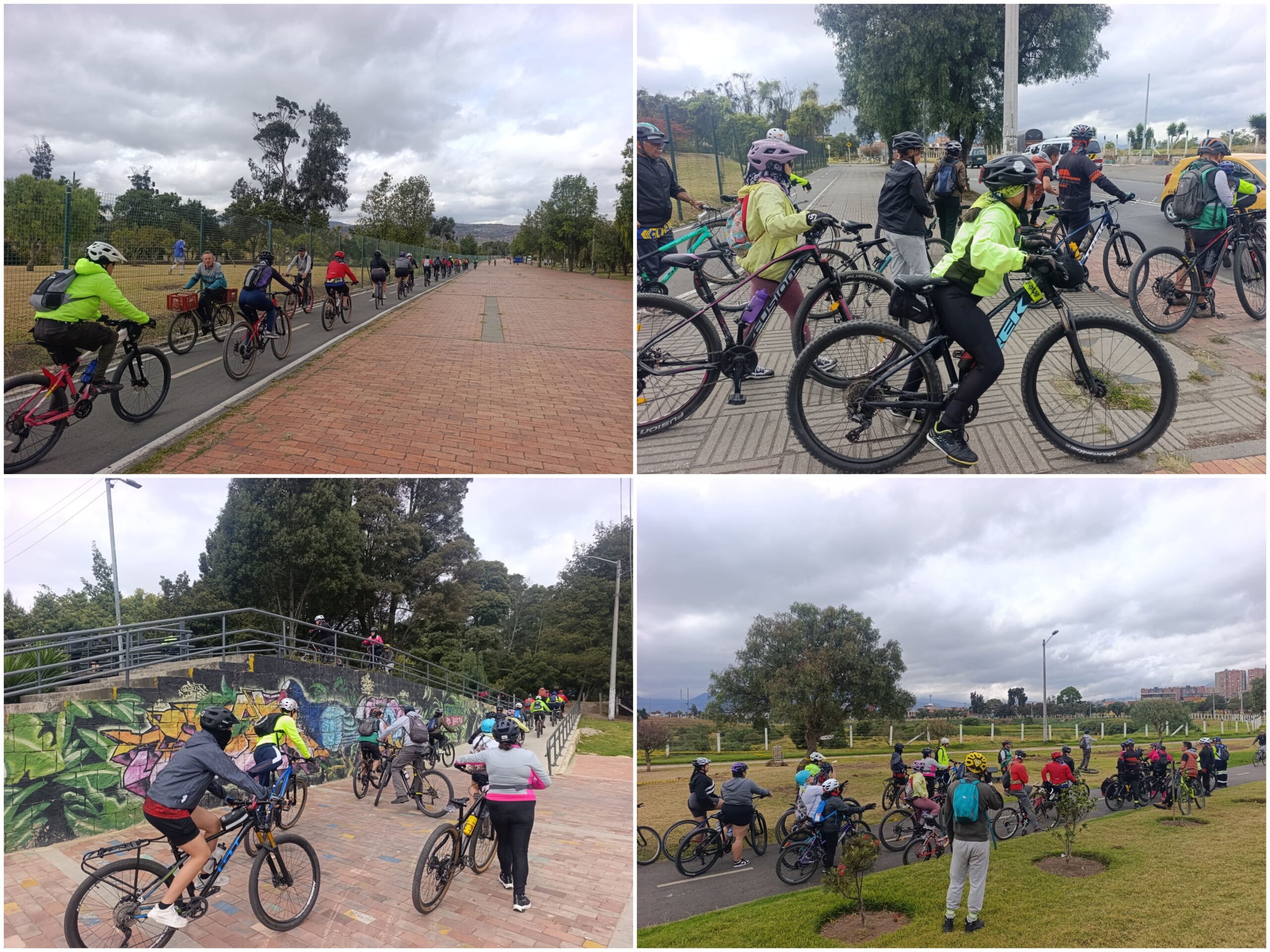 Historias del verde urbano: ¡Ciclopaseo entre dos bosques urbanos del sur de Bogotá!