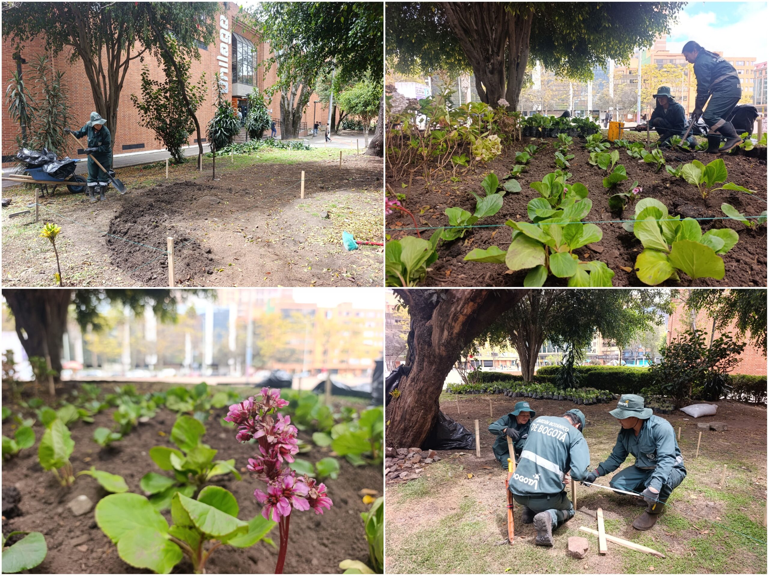 Historias del verde urbano: El cambio extremo de la jardinera de Unilago Historias del verde urbano: El cambio extremo de la jardinera de Unilago