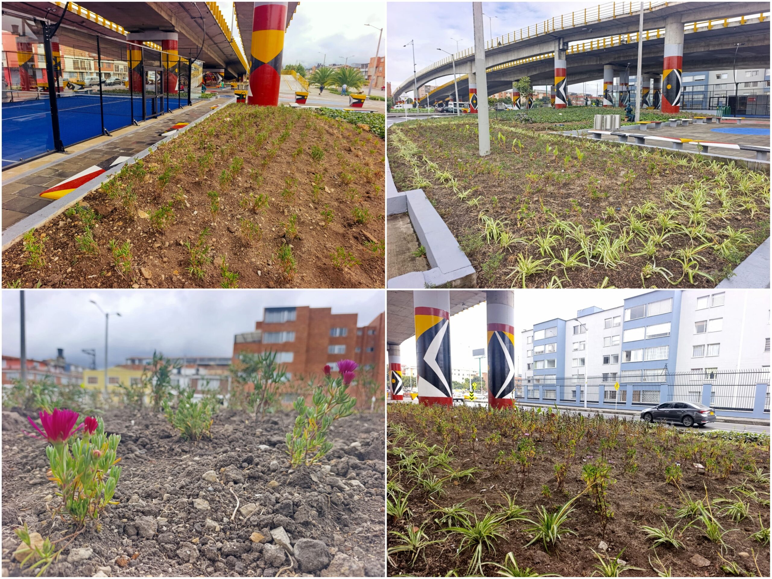 Historias del verde urbano: La primera cancha de pádel en espacio público del país floreció con varias jardineras