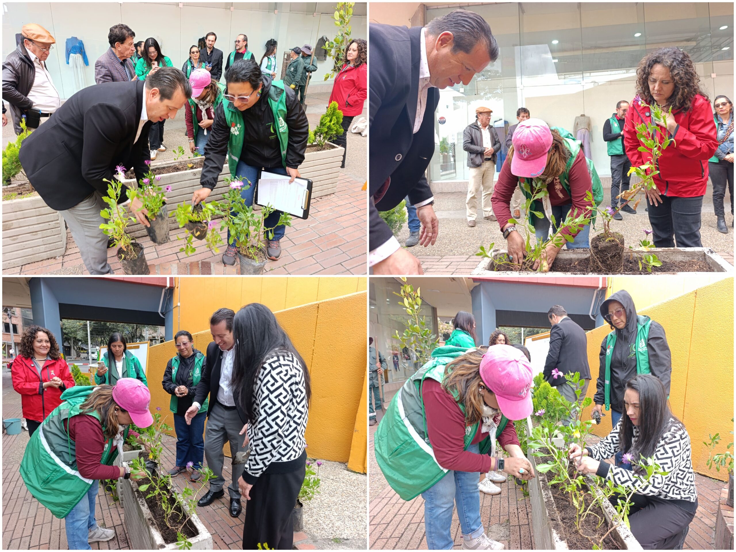 Historias del verde urbano: El primer centro comercial de estilo abierto en Bogotá ayudará a fortalecer las coberturas vegetales Historias del verde urbano: El primer centro comercial de estilo abierto en Bogotá ayudará a fortalecer las coberturas vegetales