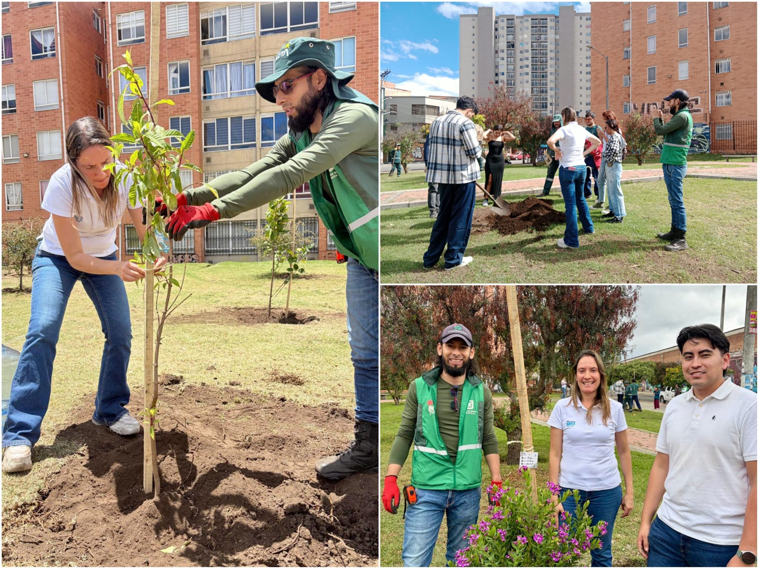 Historias del verde urbano: Bogotá sumó 403 nuevos árboles y arbustos a su cobertura vegetal a finales de agosto