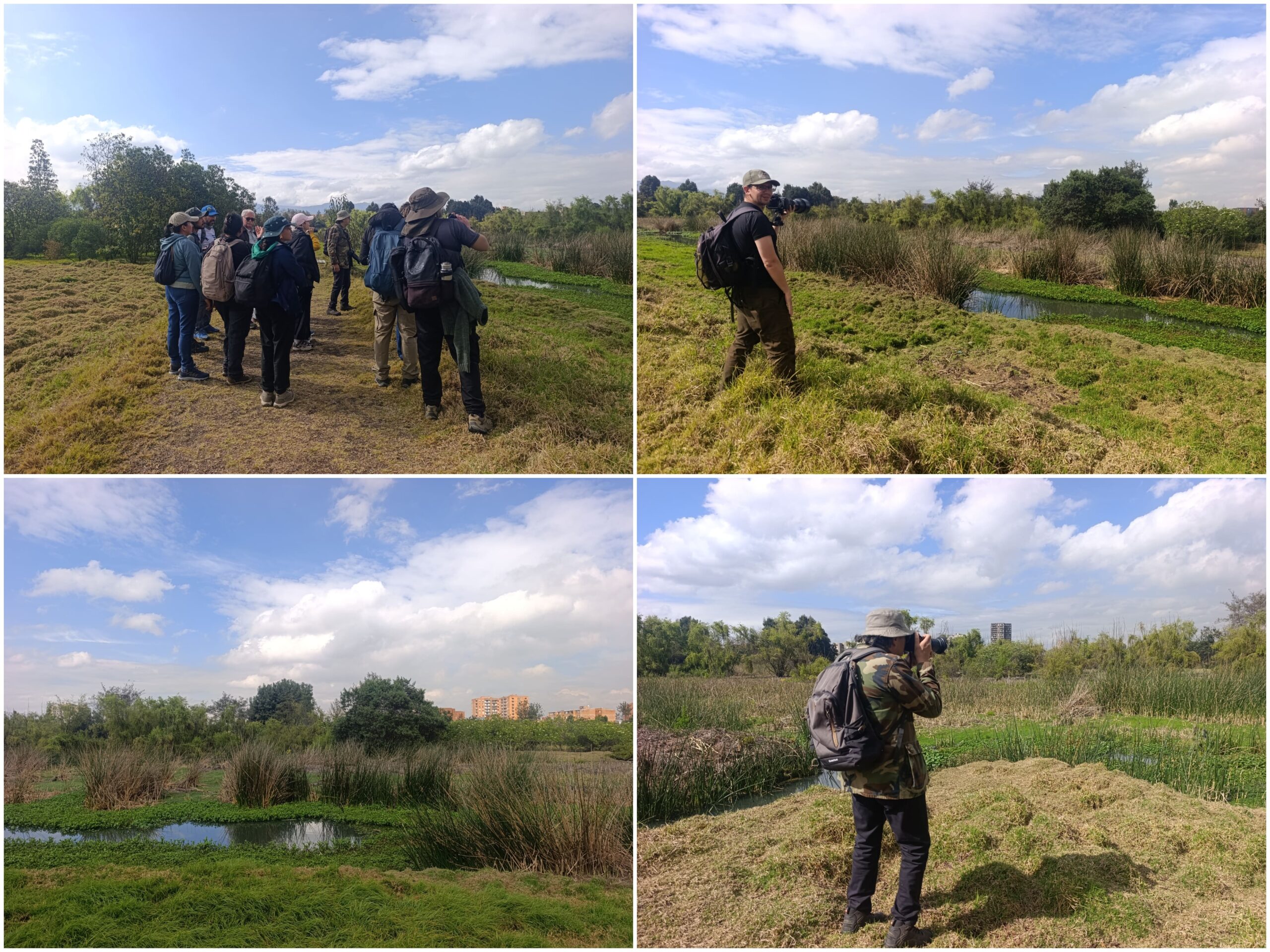 “Entre bosques y humedales”: un recorrido de conexión por una esponja hídrica de Fontibón “Entre bosques y humedales”: un recorrido de conexión por una esponja hídrica de Fontibón