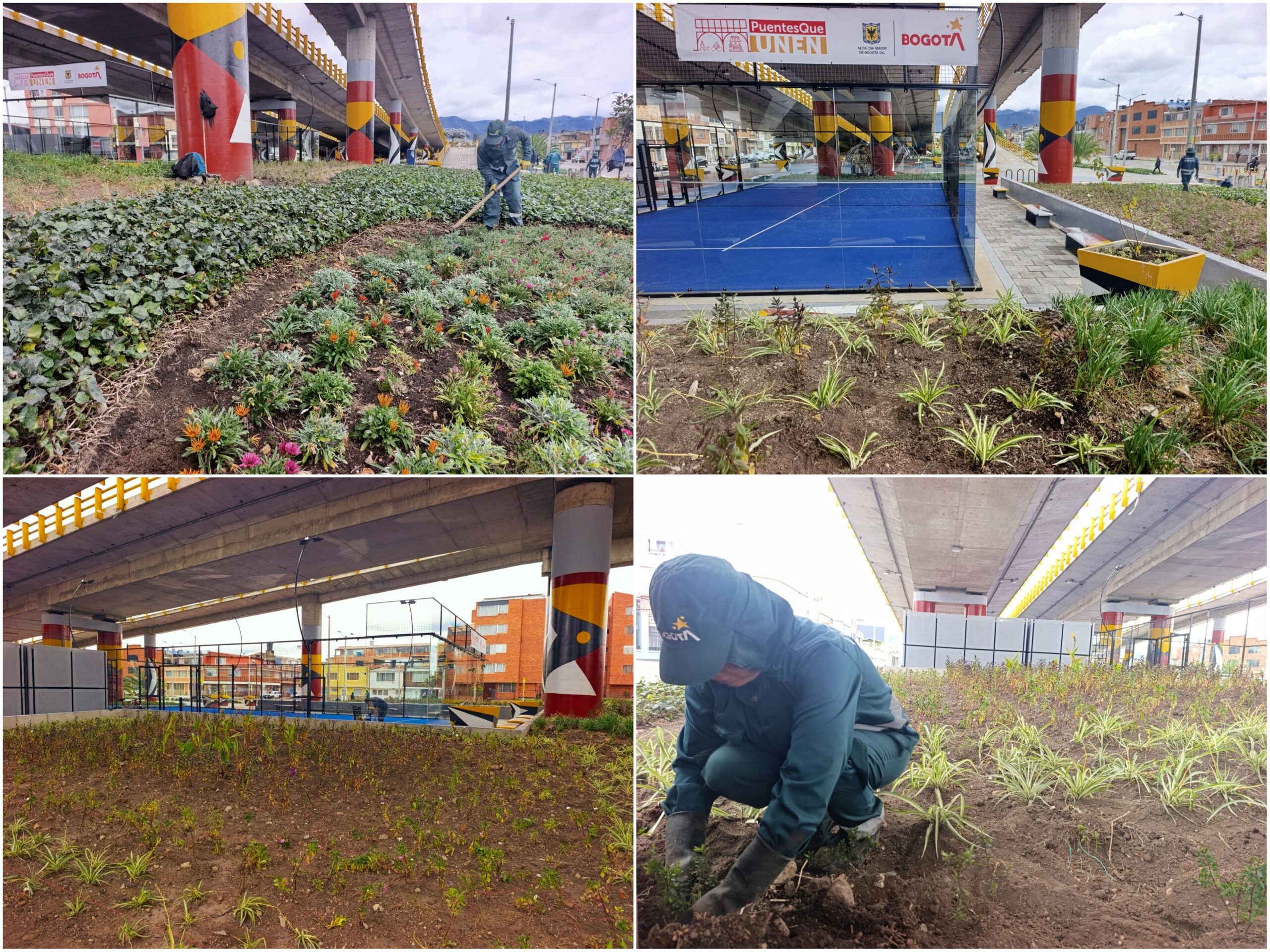 Historias del verde urbano: La primera cancha de pádel en espacio público del país floreció con varias jardineras