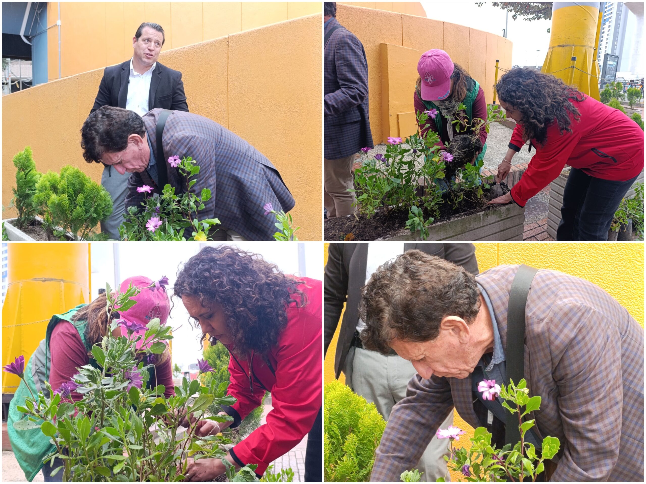 Historias del verde urbano: El primer centro comercial de estilo abierto en Bogotá ayudará a fortalecer las coberturas vegetales Historias del verde urbano: El primer centro comercial de estilo abierto en Bogotá ayudará a fortalecer las coberturas vegetales
