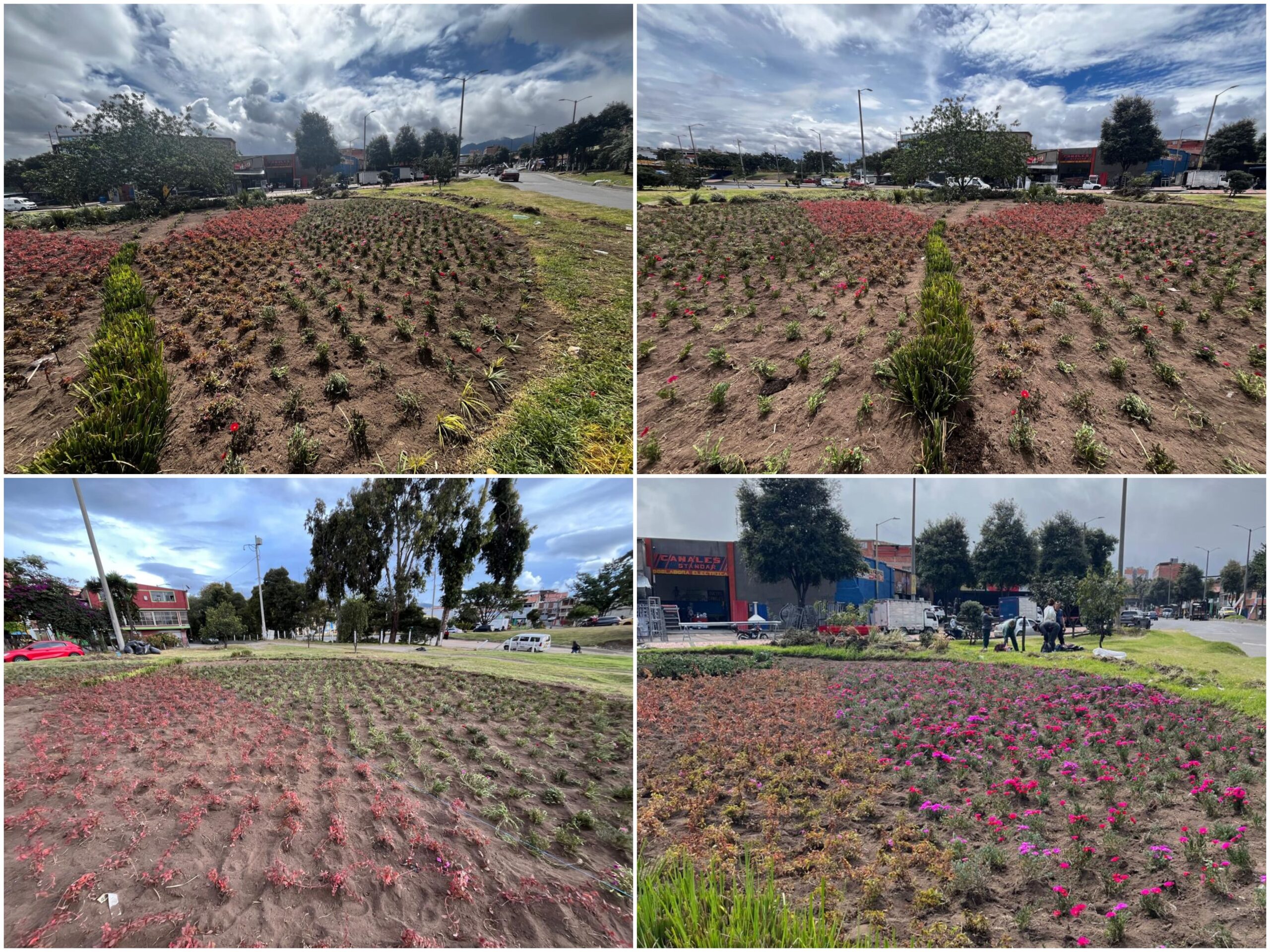 Historias del verde urbano: El nuevo jardín biodiverso del Bravo Páez