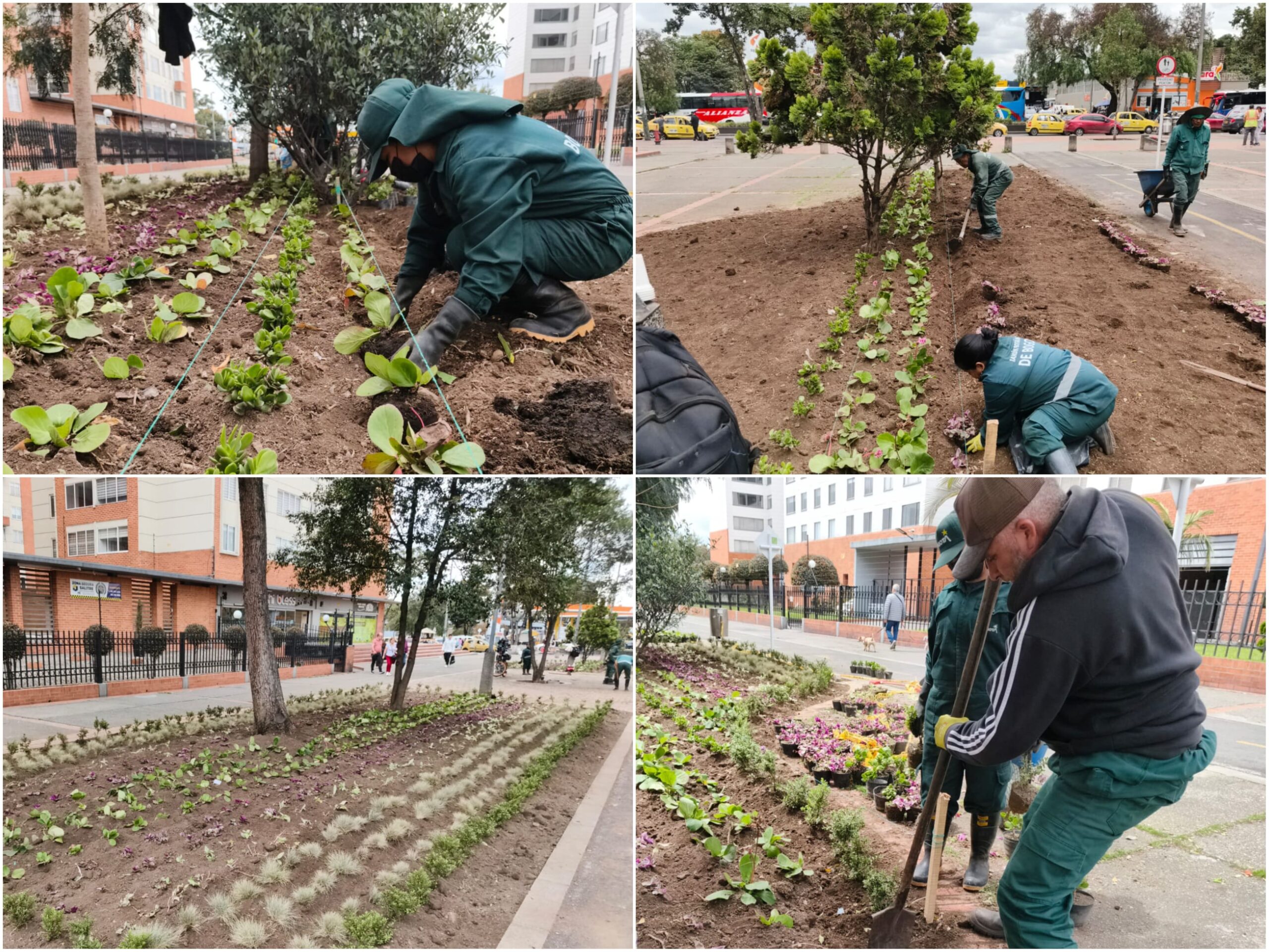 Historias del verde urbano: Los Zapaticos: la jardinera de Salitre Occidental que volvió a la vida Historias del verde urbano: Los Zapaticos: la jardinera de Salitre Occidental que volvió a la vida