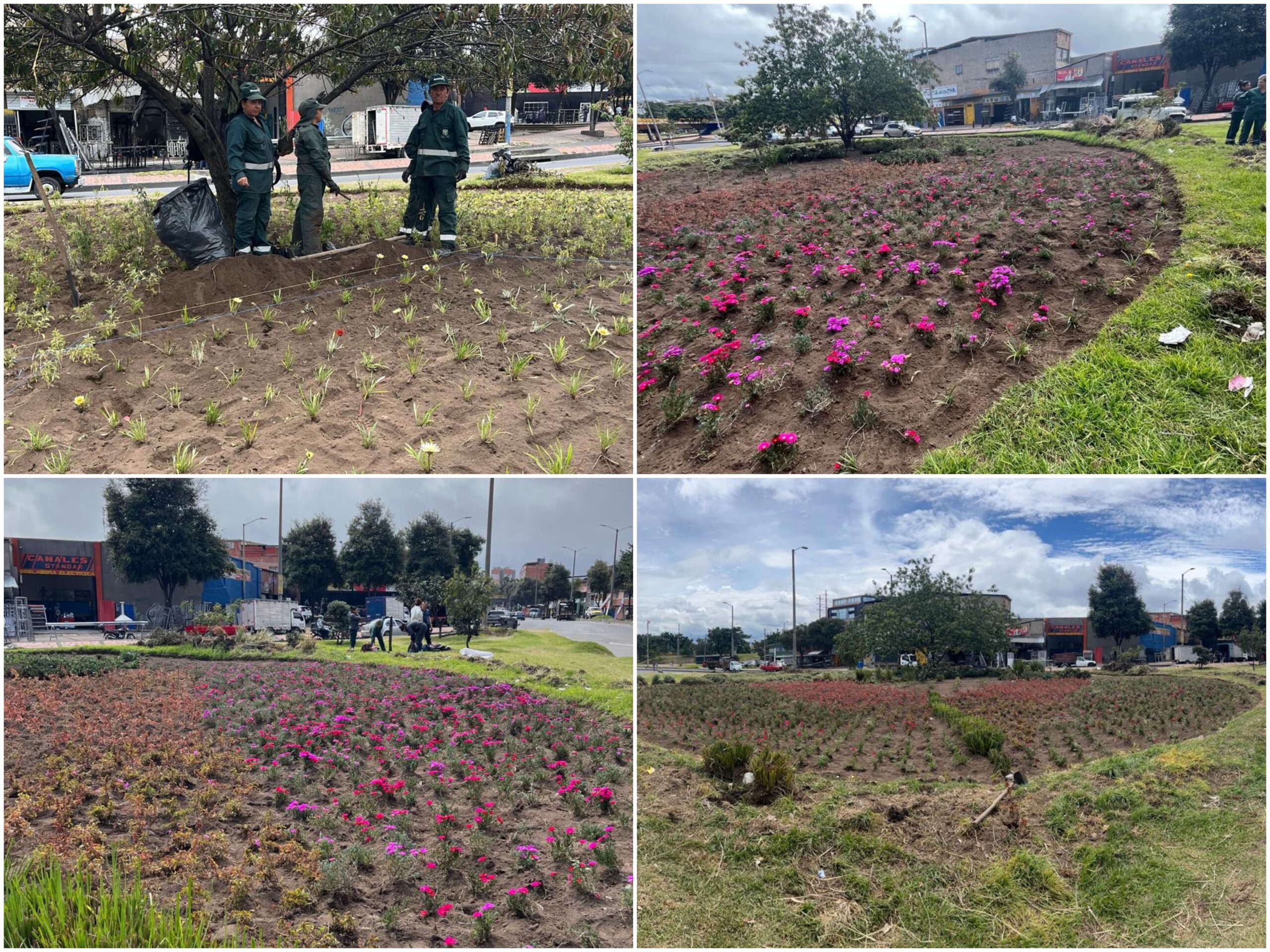 Historias del verde urbano: El nuevo jardín biodiverso del Bravo Páez