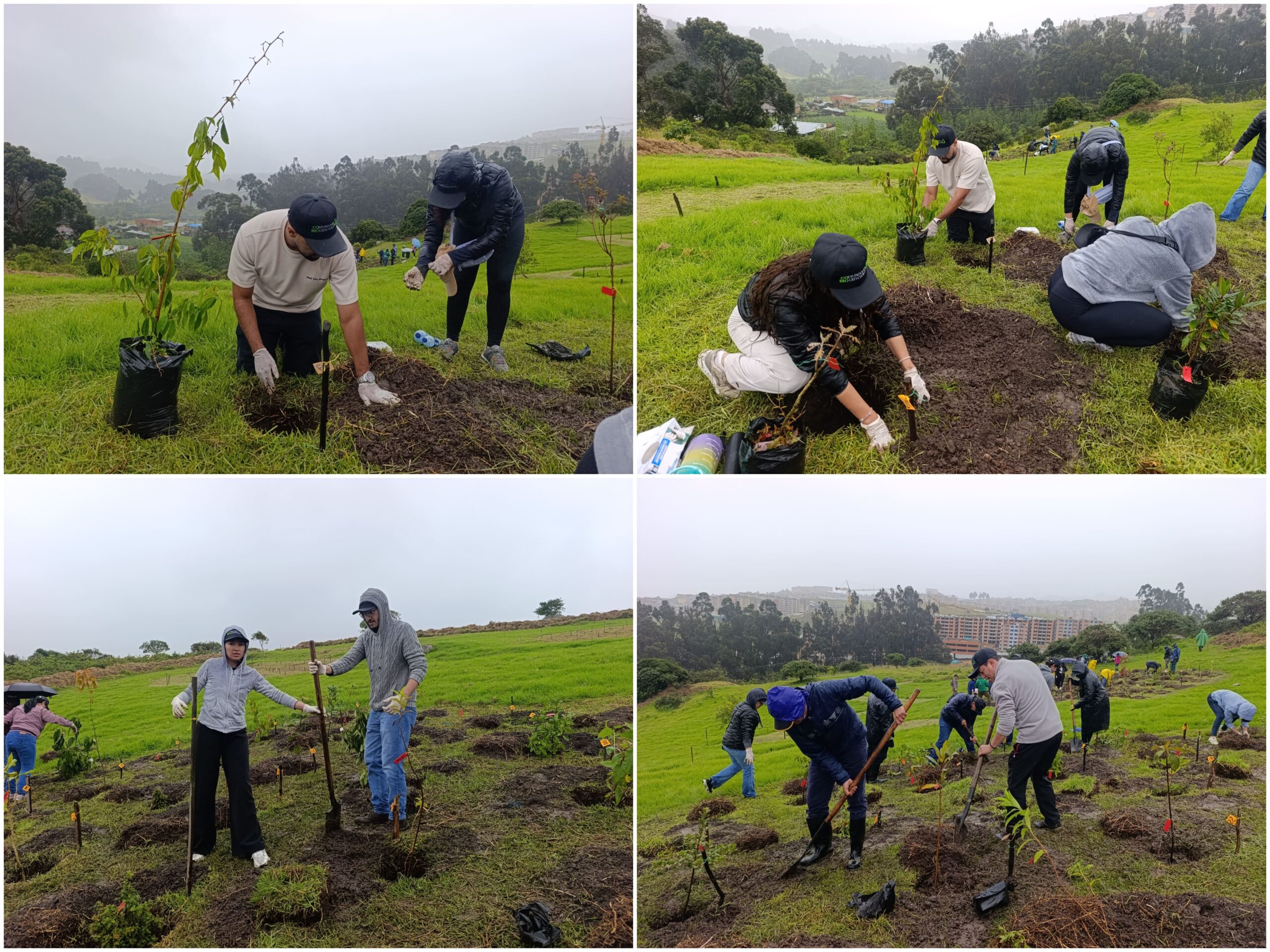 Historias del verde urbano: Jornada de restauración ecológica en la única área arqueológica protegida de Bogotá